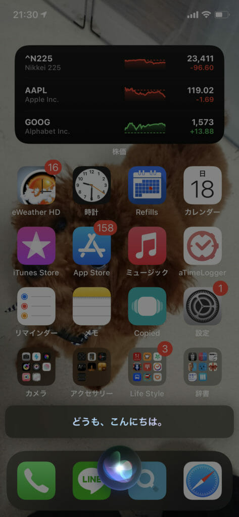 iOS14 Siri01