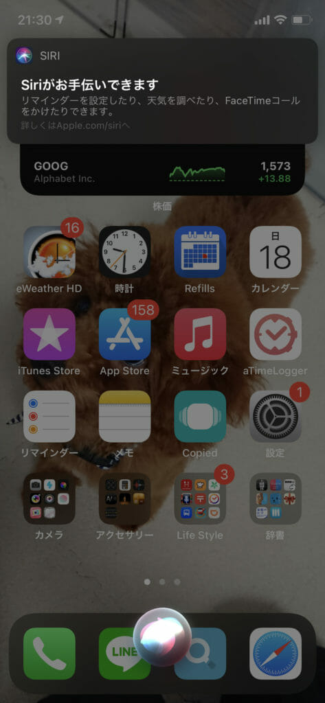 iOS14 Siri02