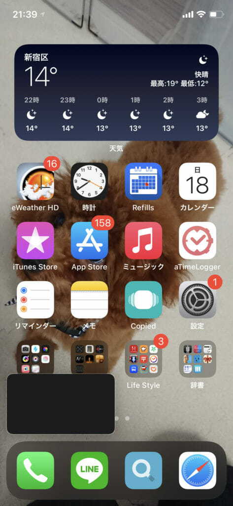 iOS14 PIP01