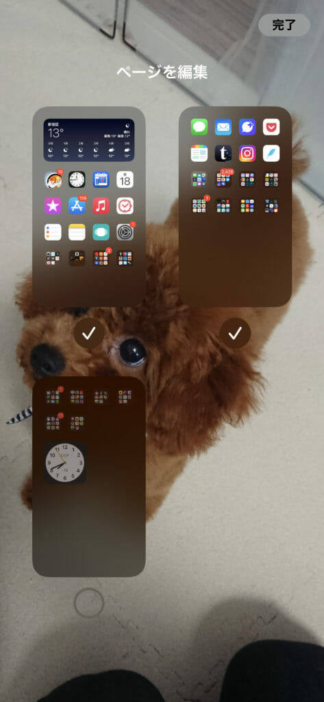 iOS14 Hide home screen01