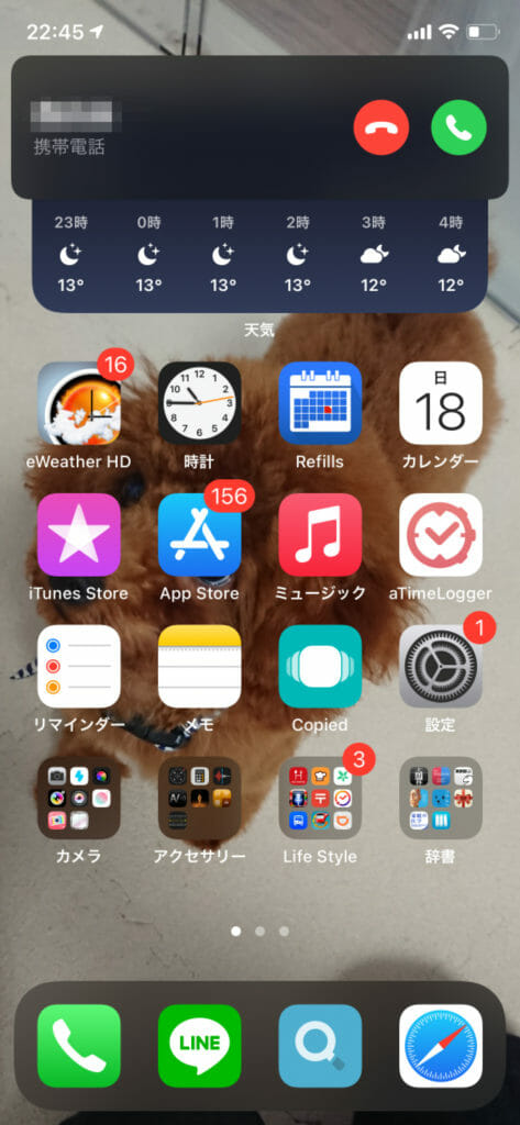  iOS14 Incoming Call01